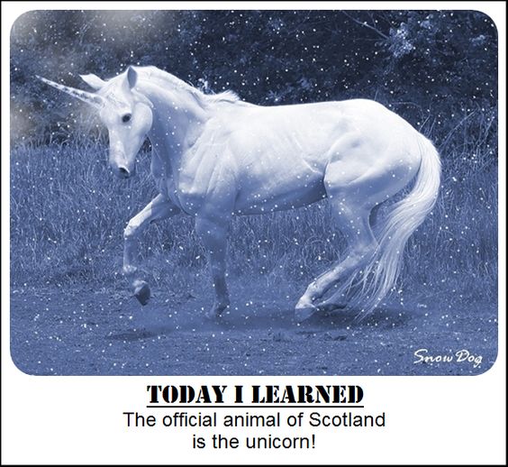Por que o unicórnio é o animal nacional da Escócia? - Vida na Escócia